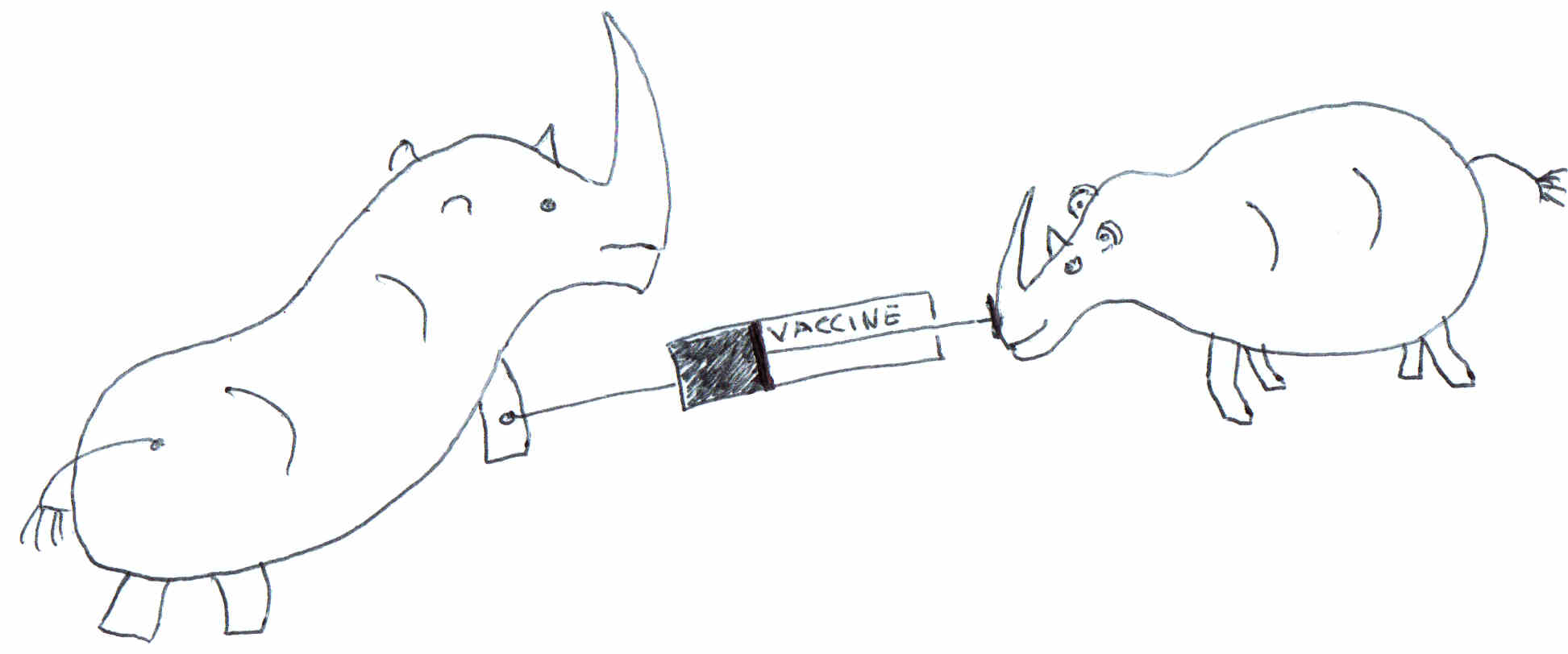 Rhino gets the vaccine