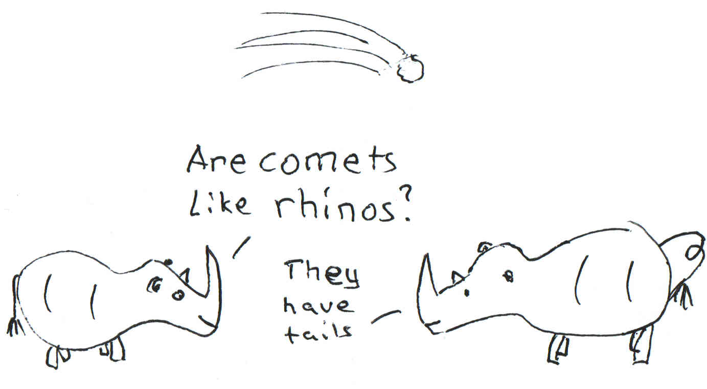 Rhinos and comets both have tails